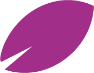 ff mauve f 94px