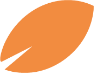 ff orange 94px